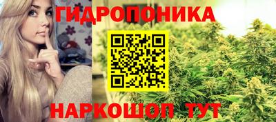ГАЛЛЮЦИНОГЕННЫЕ ГРИБЫ Краснодар