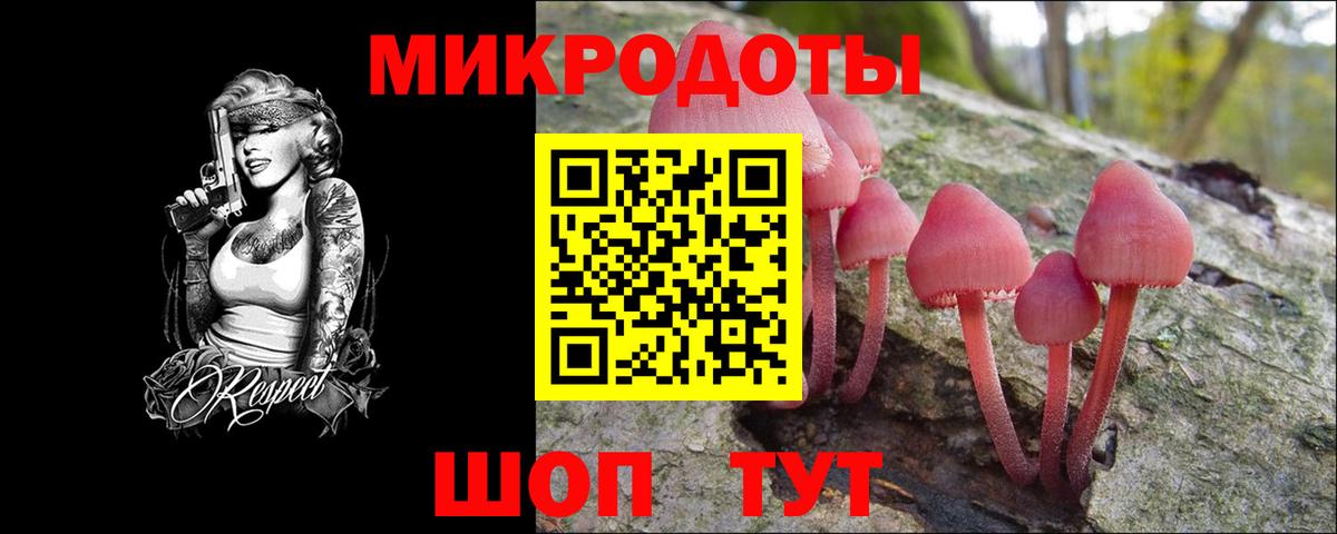 Кимовск  Псилоцибиновые грибы Magic Shrooms  Вход с VPN  Галлюциногенные грибы MAGIC MUSHROOMS 